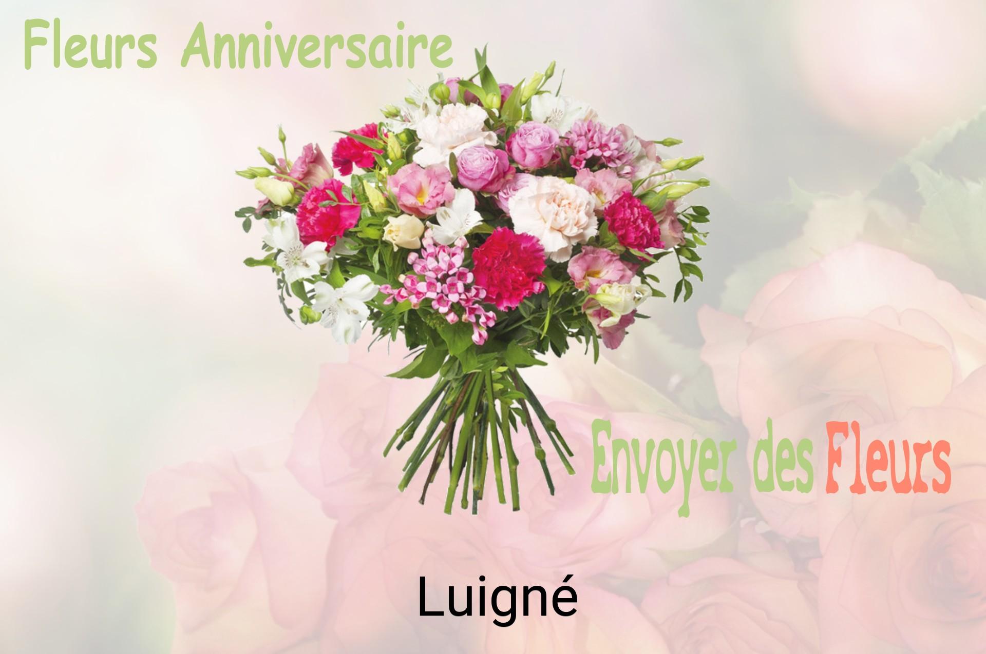 Bouquet de fleurs d’anniversaire livré à Luigné