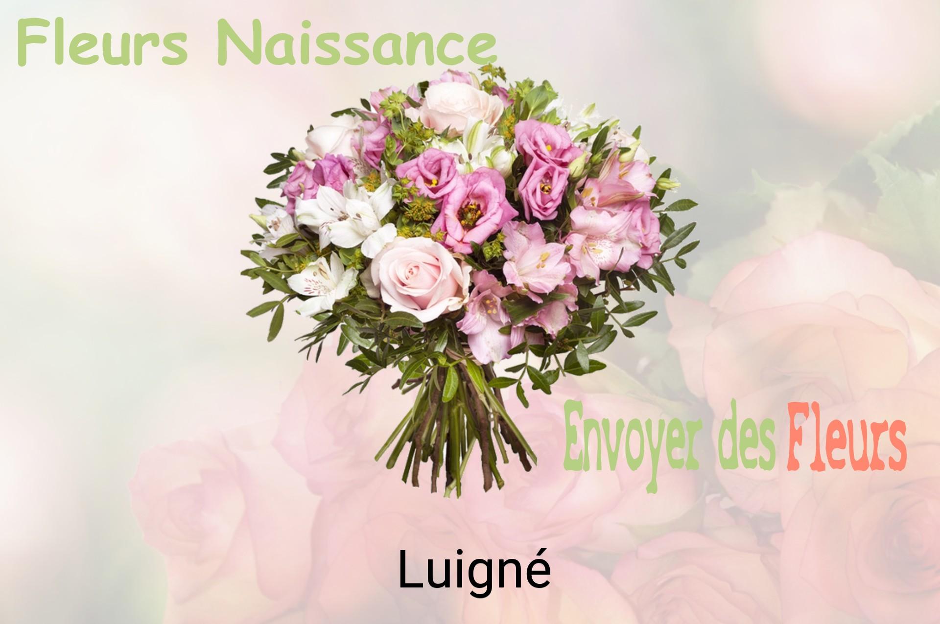Bouquet de fleurs de naissance livré à Luigné
