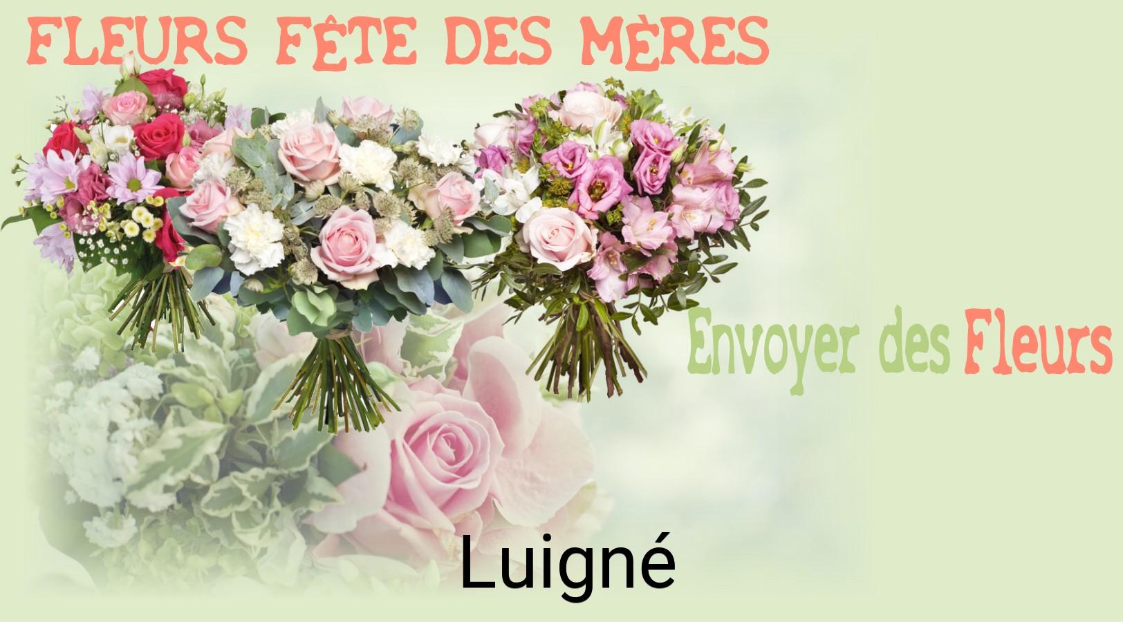 Bouquet de Fête des Mères livré à Luigné